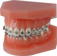 Modelo de ortodoncia para demostraciones dinamique® m