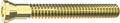 Screw, titanium, L 13 mm